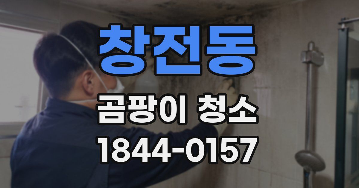 창전동 곰팡이 청소