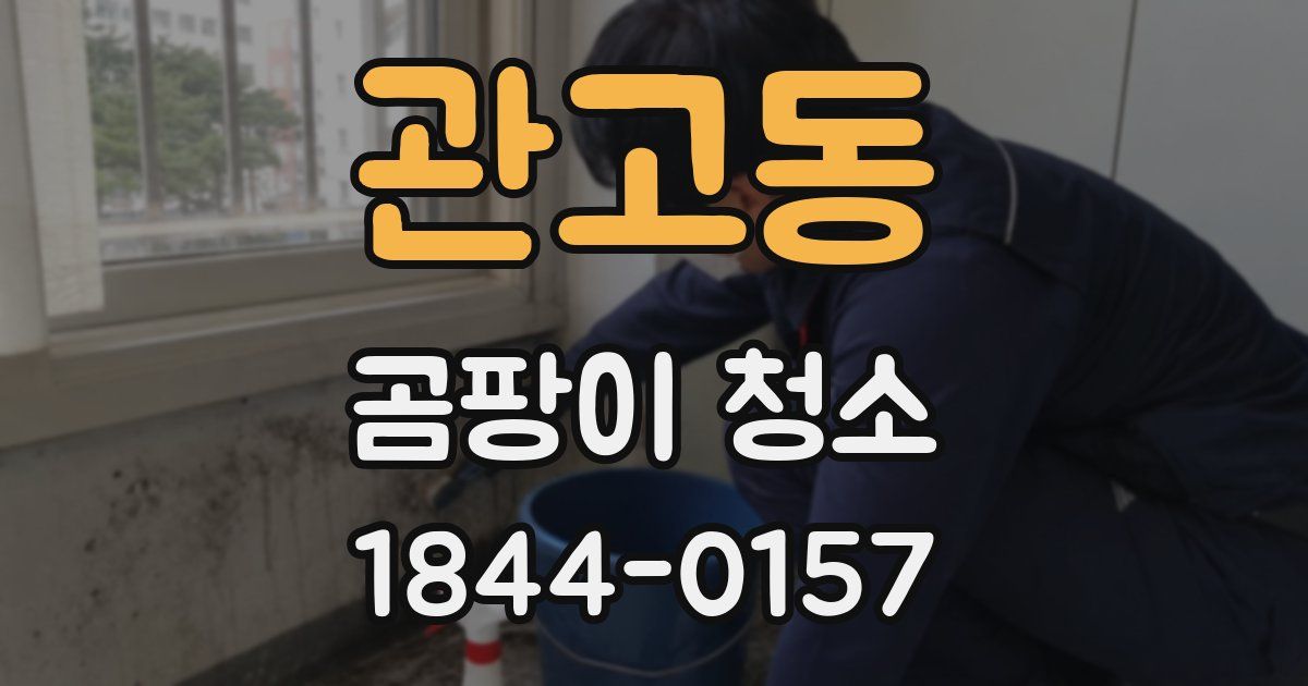 관고동 곰팡이 청소