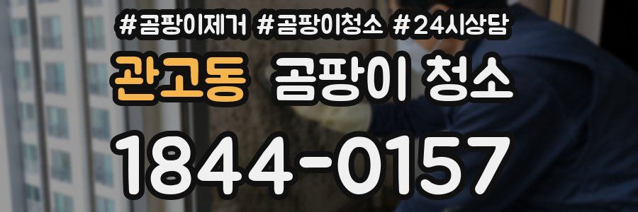 관고동 곰팡이 청소