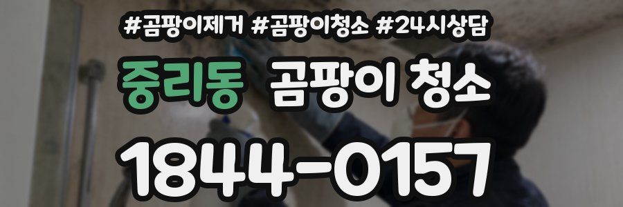 중리동 곰팡이 청소