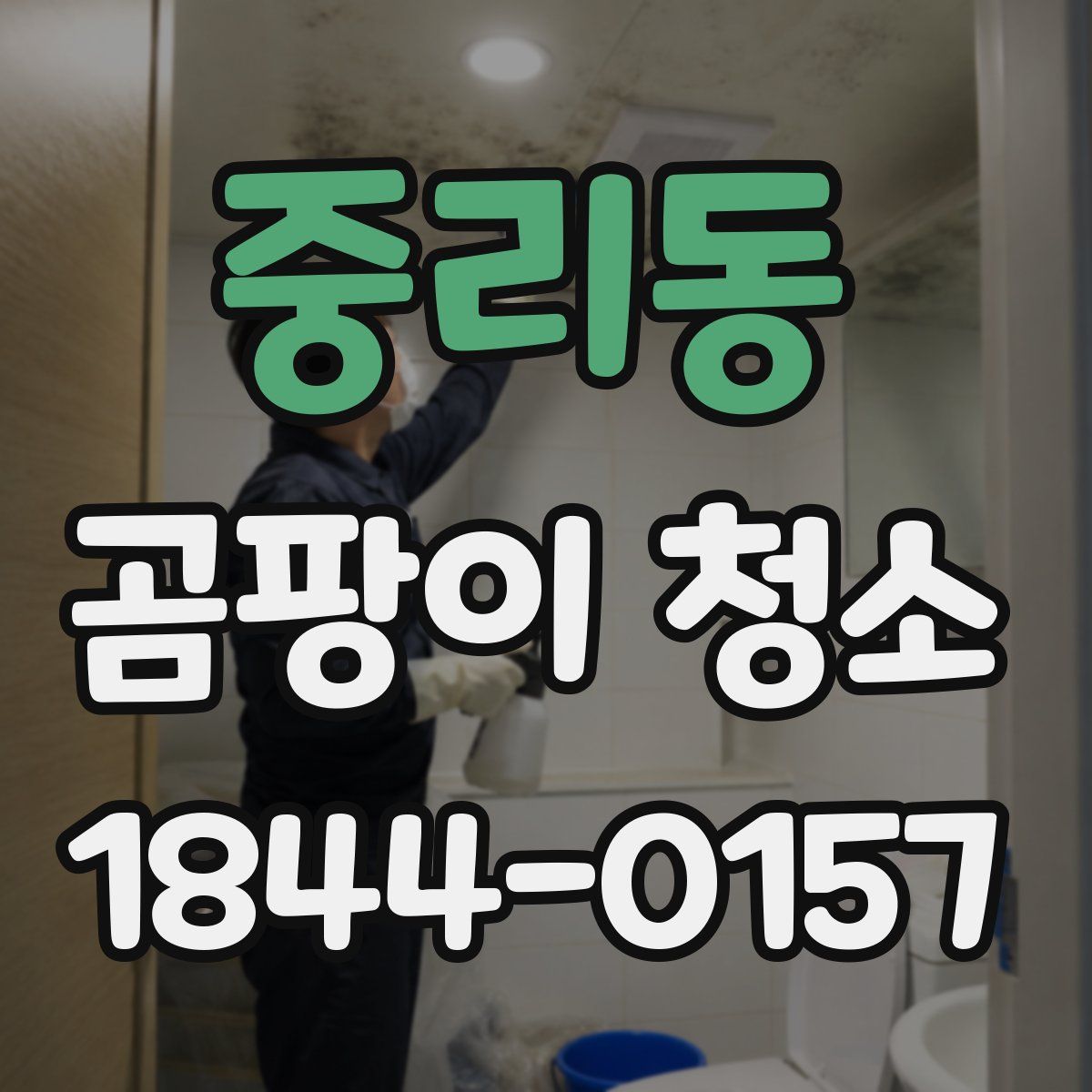 중리동 곰팡이 청소