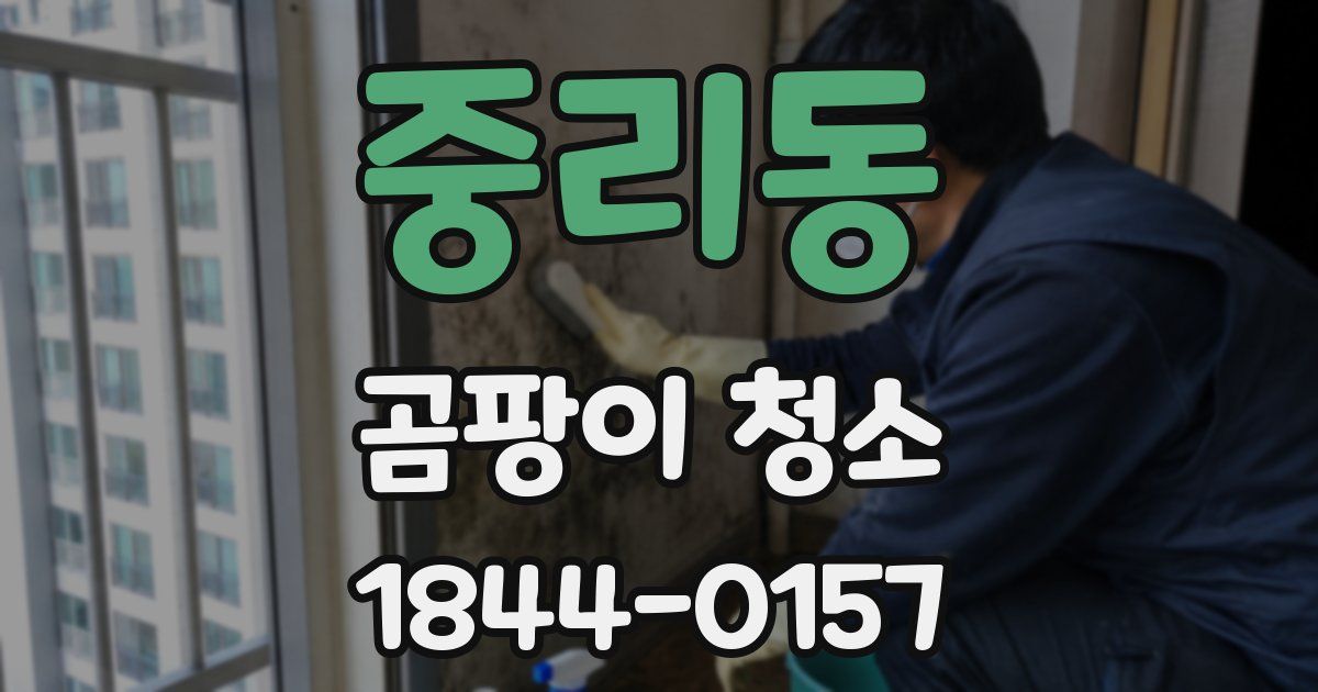 중리동 곰팡이 청소
