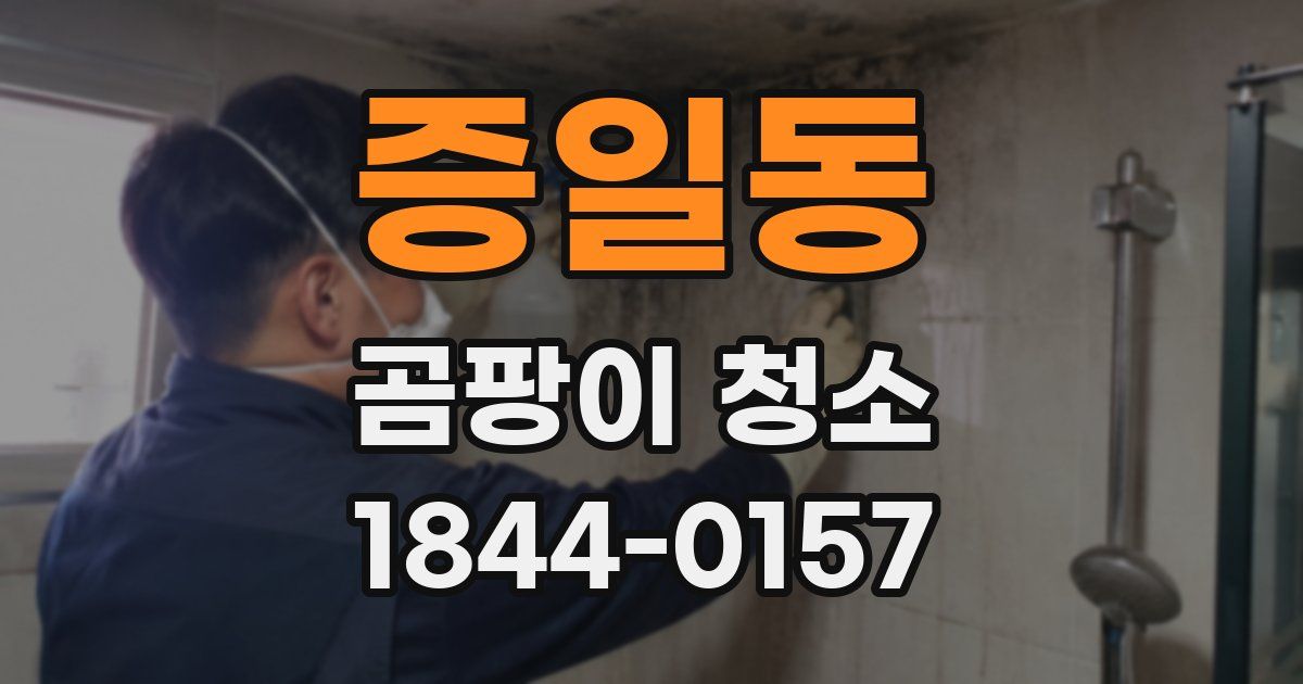 증일동 곰팡이 청소