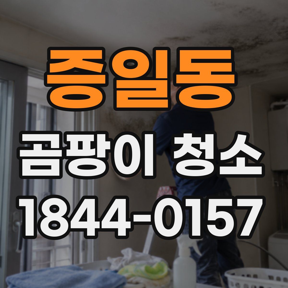 증일동 곰팡이 청소