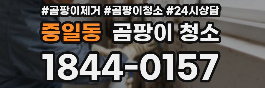 증일동 곰팡이 청소