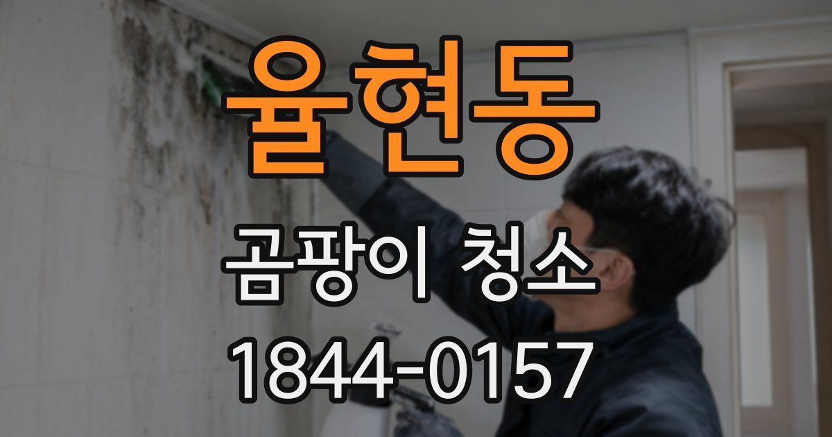 율현동 곰팡이 청소