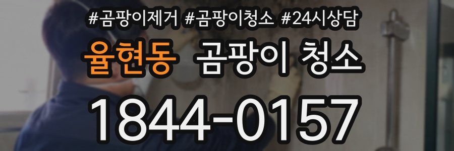 율현동 곰팡이 청소