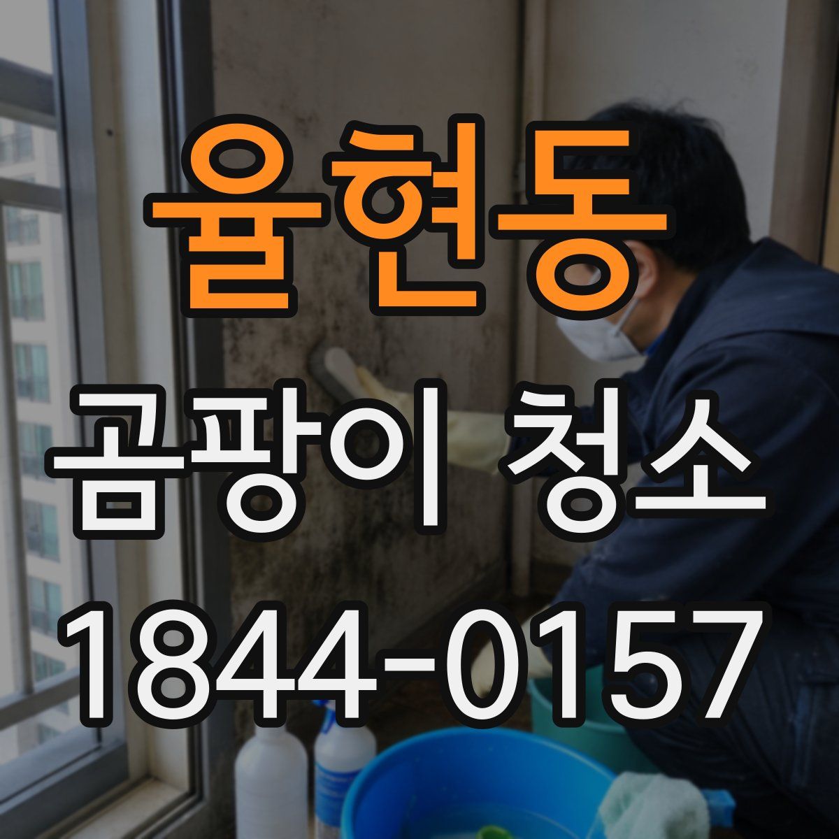 율현동 곰팡이 청소