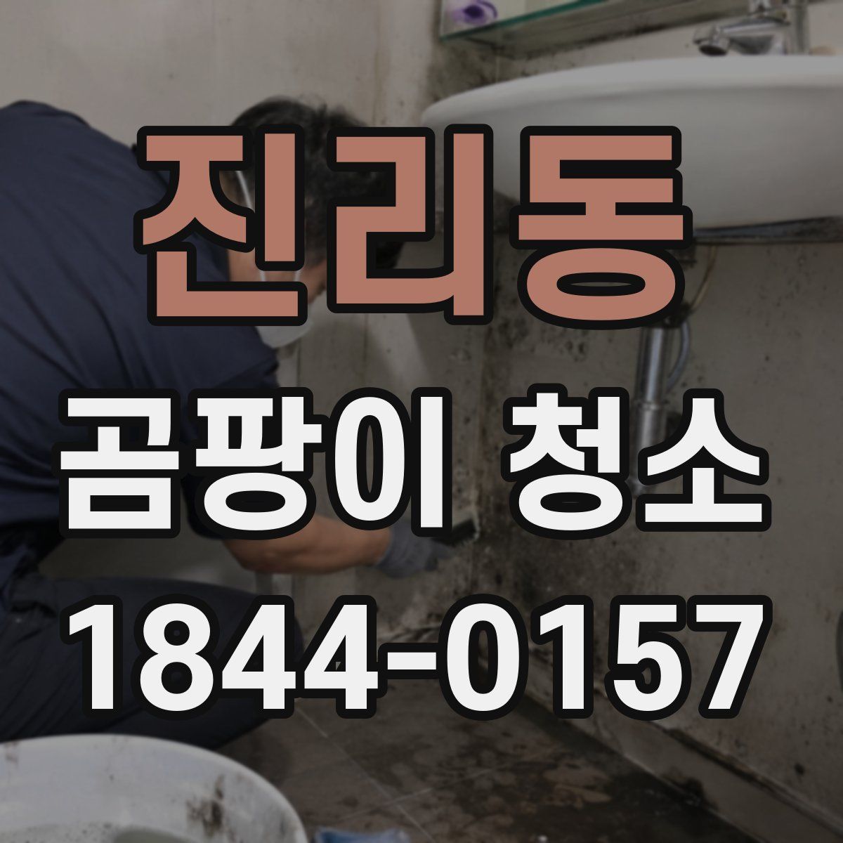 진리동 곰팡이 청소