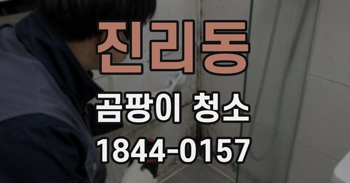 진리동 곰팡이 청소