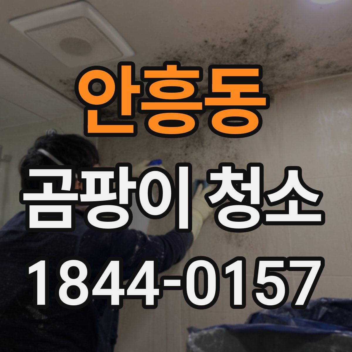 안흥동 곰팡이 청소