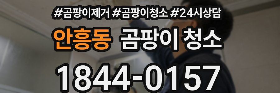 안흥동 곰팡이 청소