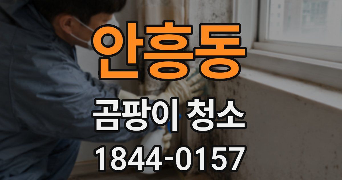 안흥동 곰팡이 청소
