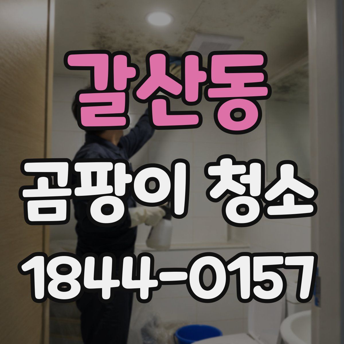 갈산동 곰팡이 청소