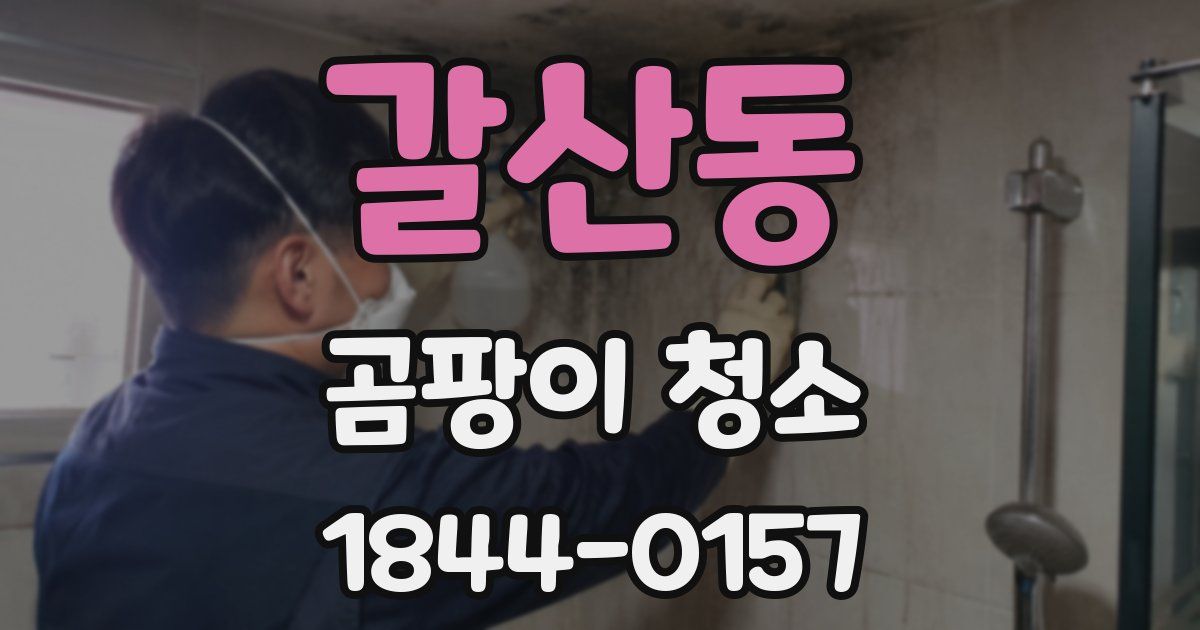 갈산동 곰팡이 청소