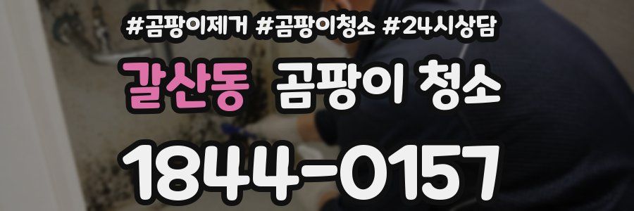갈산동 곰팡이 청소