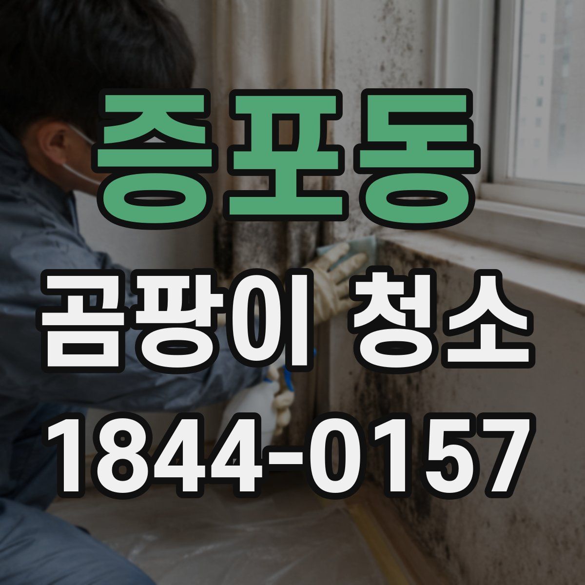 증포동 곰팡이 청소