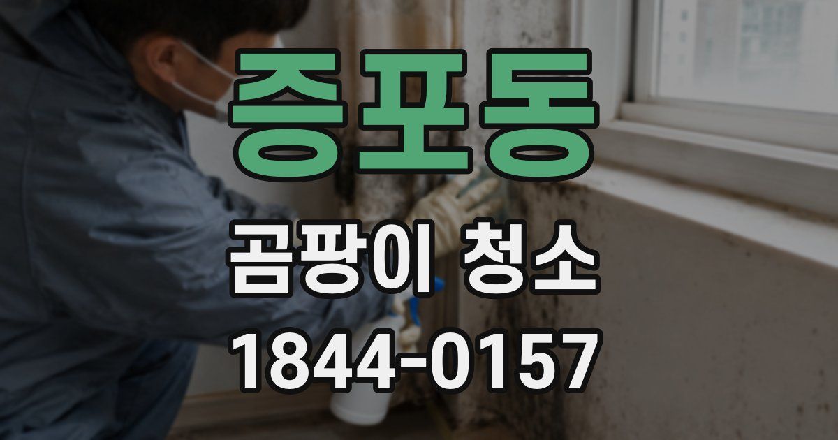 증포동 곰팡이 청소