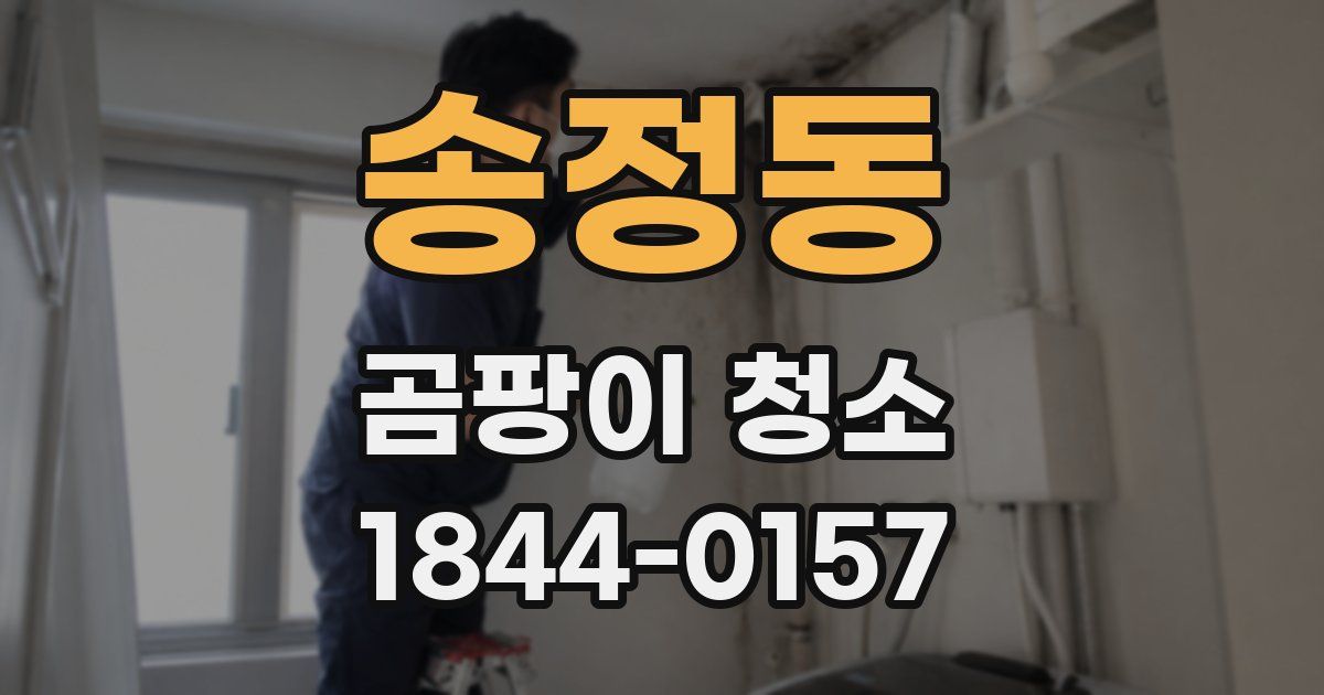 송정동 곰팡이 청소
