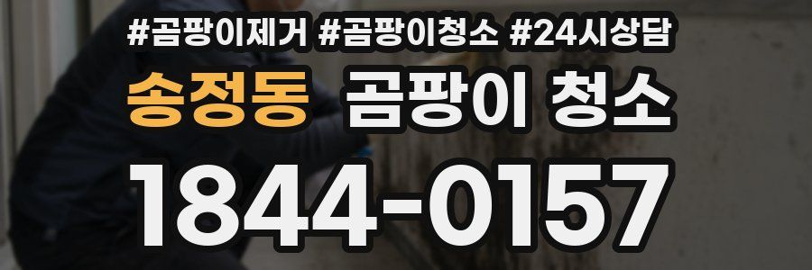 송정동 곰팡이 청소