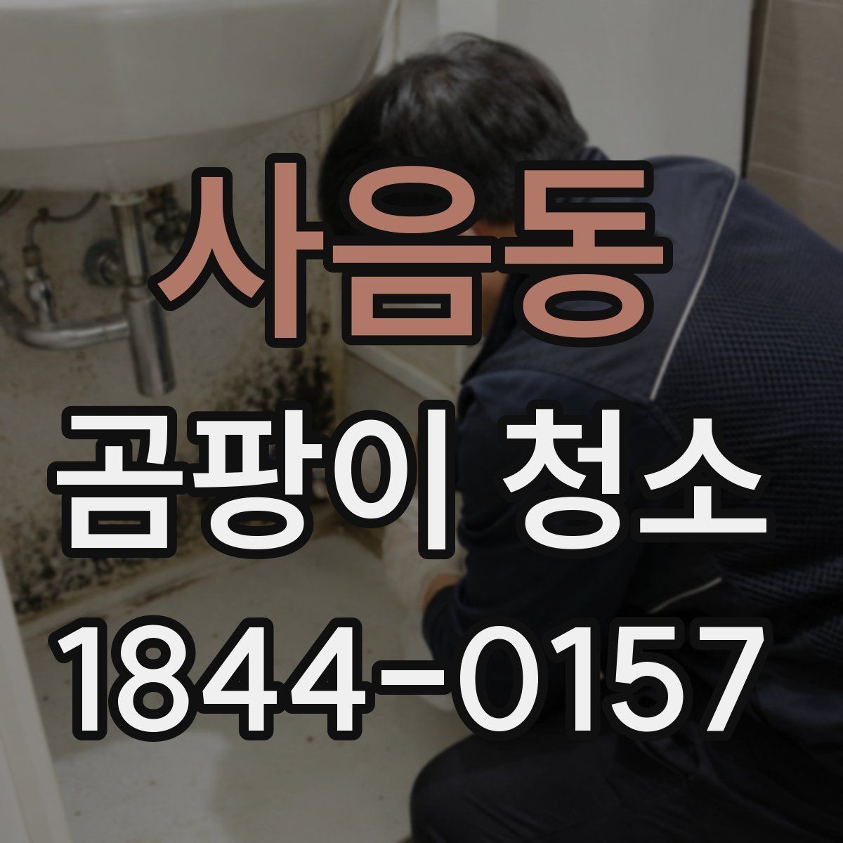 사음동 곰팡이 청소 실내 습도와 온도를 함께 맞추는 습관