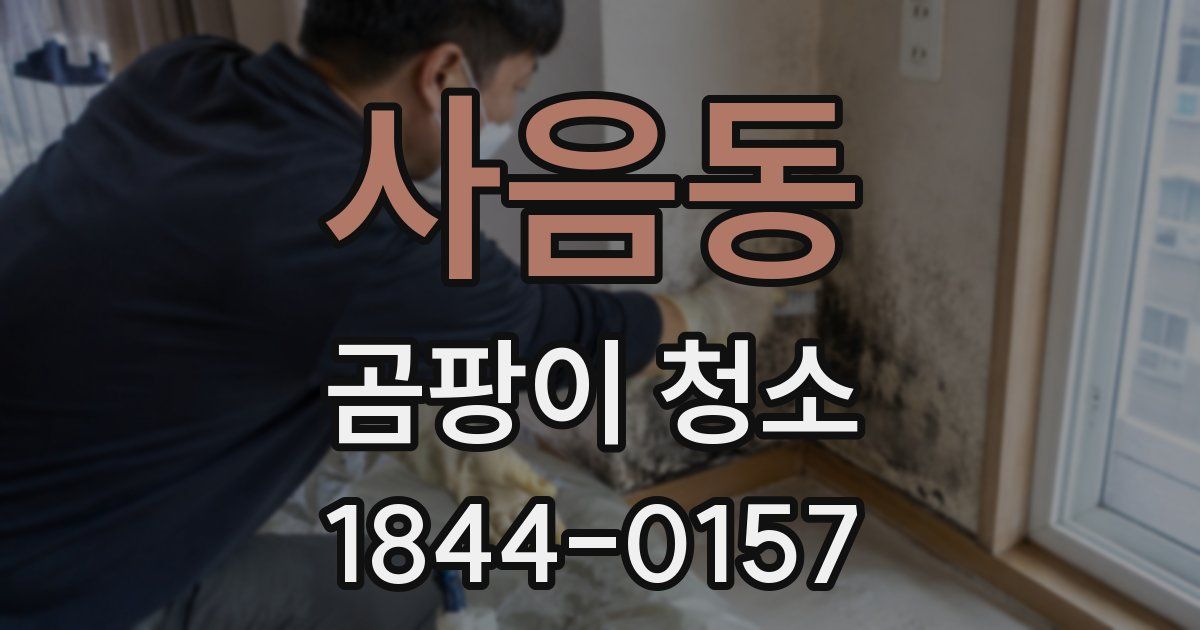 사음동 곰팡이 청소