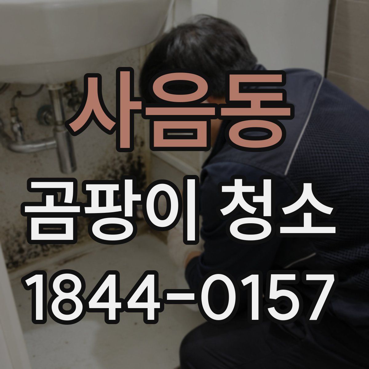 사음동 곰팡이 청소