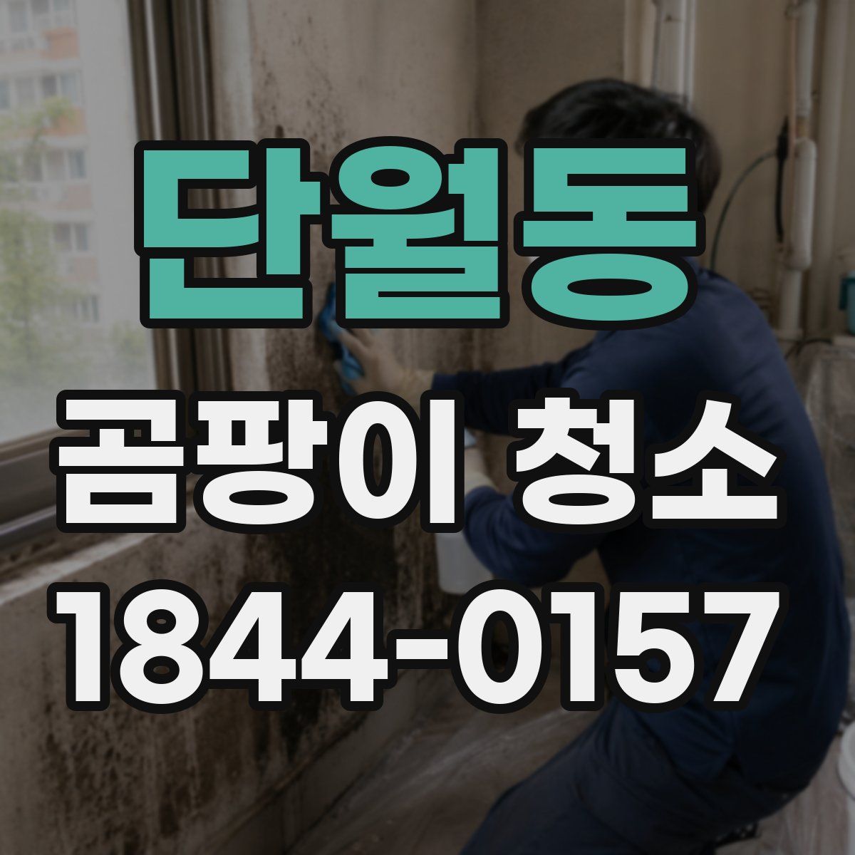 단월동 곰팡이 청소