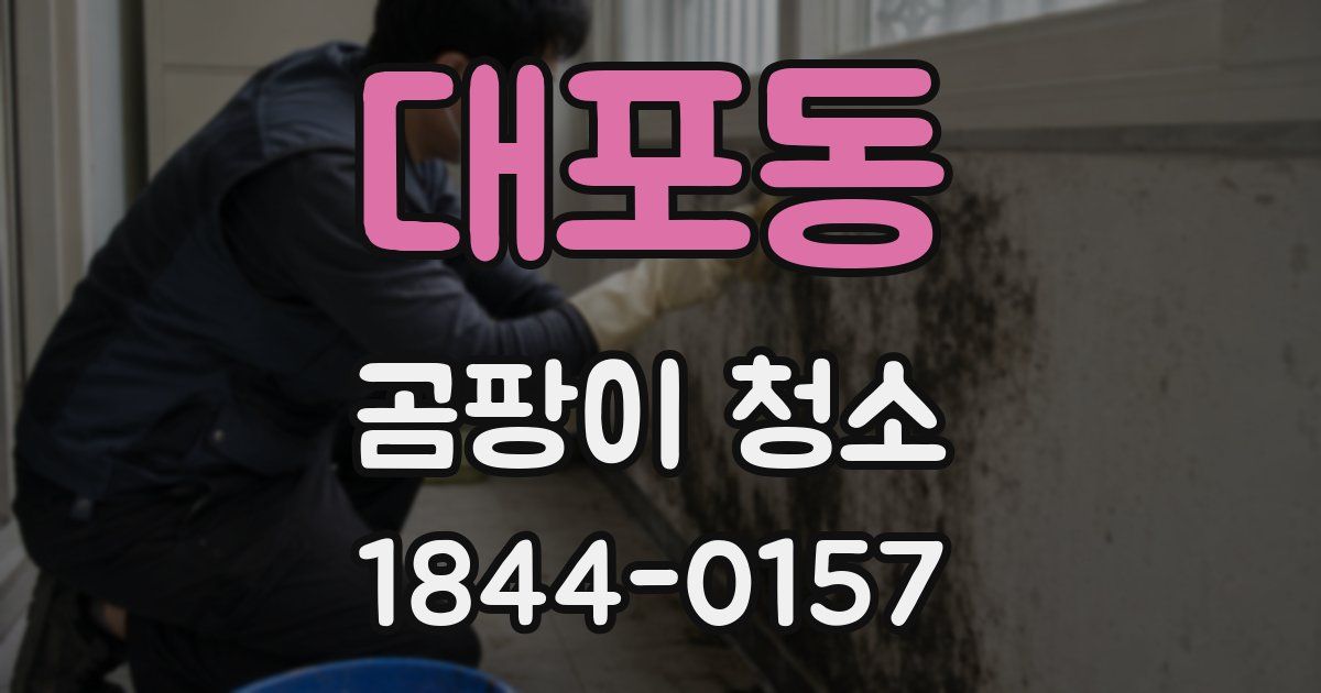 대포동 곰팡이 청소