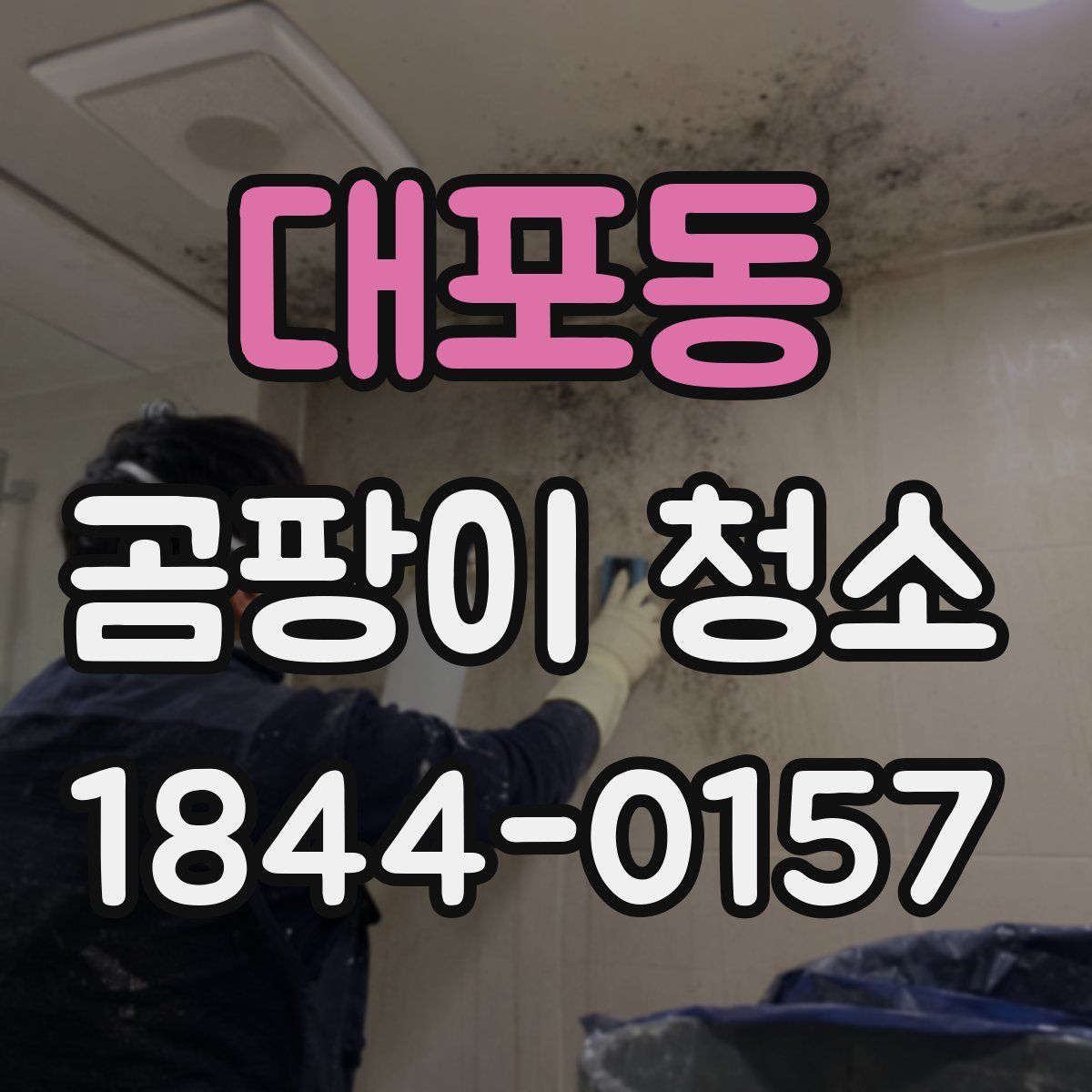 대포동 곰팡이 청소