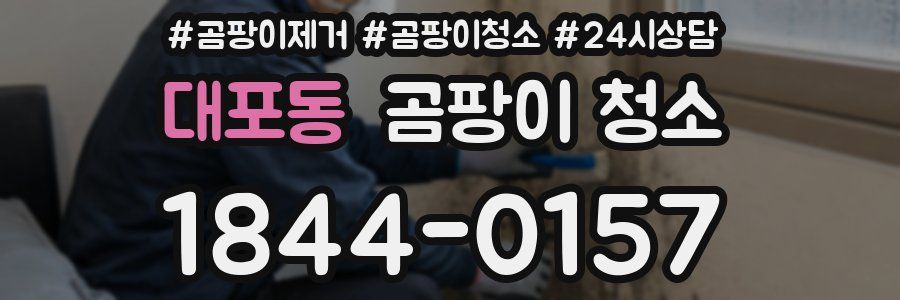 대포동 곰팡이 청소