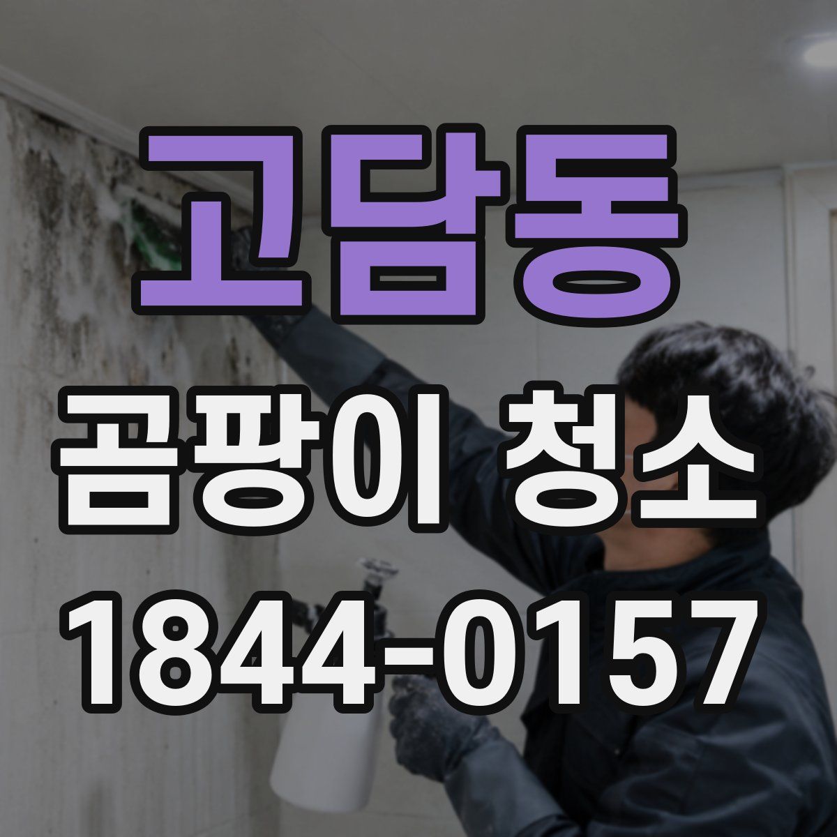 고담동 곰팡이 청소