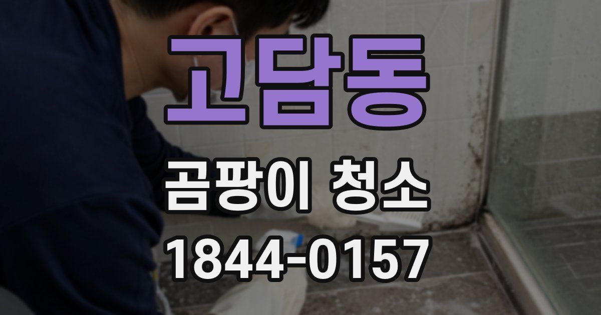 고담동 곰팡이 청소