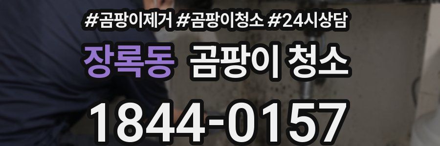 장록동 곰팡이 청소