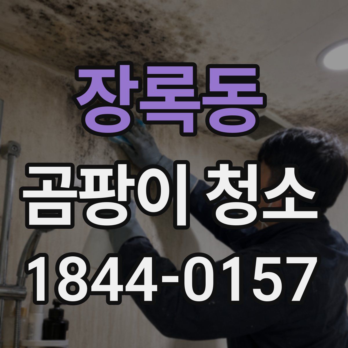 장록동 곰팡이 청소