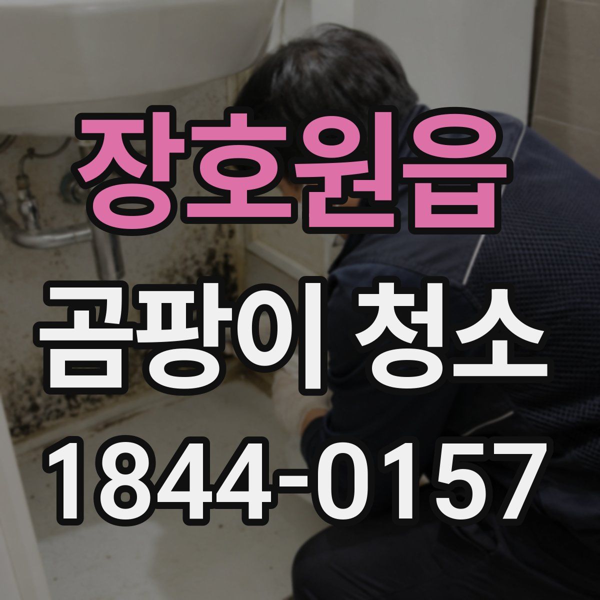 장호원읍 곰팡이 청소