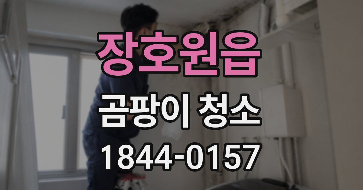 장호원읍 곰팡이 청소