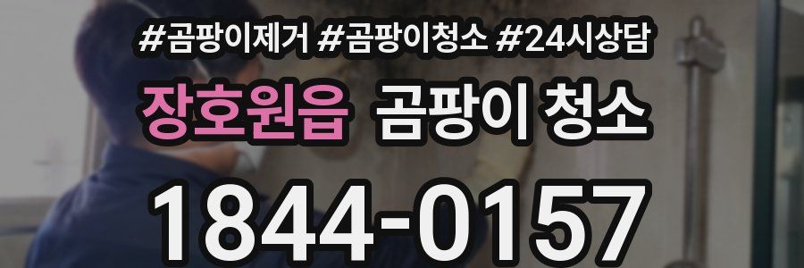장호원읍 곰팡이 청소