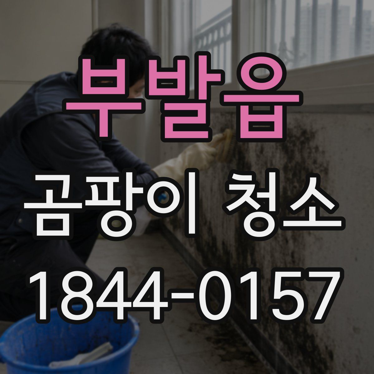 부발읍 곰팡이 청소