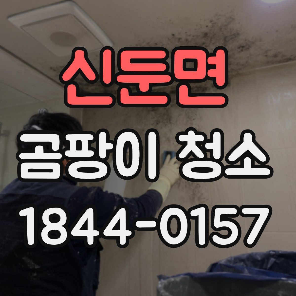 신둔면 곰팡이 청소 포자 번짐을 줄이는 닦기 순서와 도구 선택