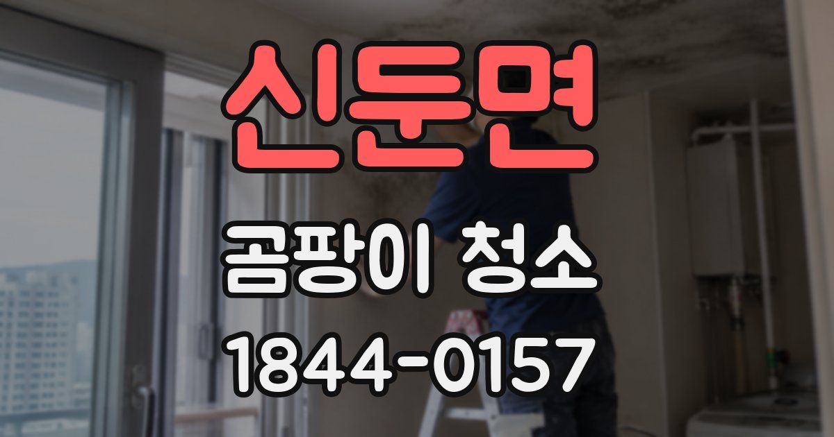 신둔면 곰팡이 청소