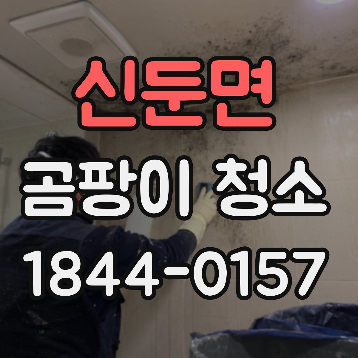 신둔면 곰팡이 청소