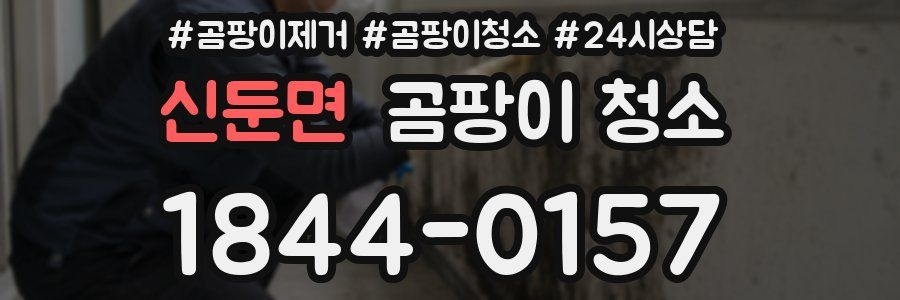 신둔면 곰팡이 청소