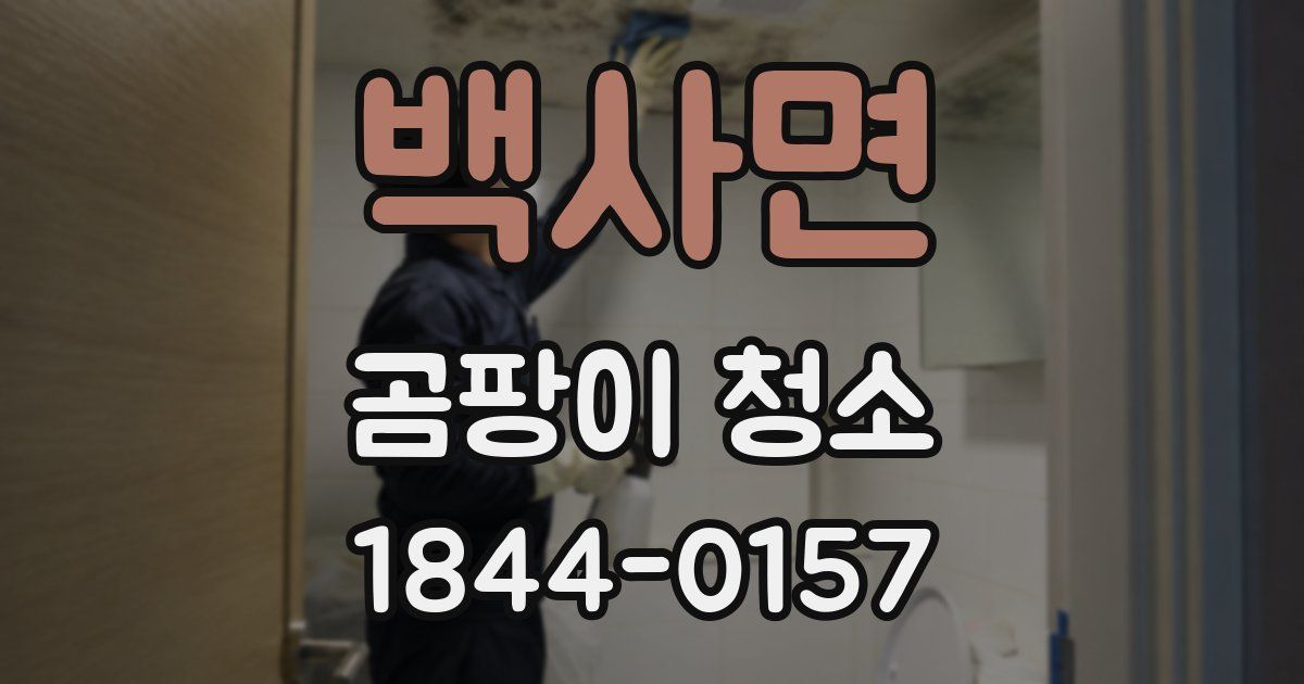 백사면 곰팡이 청소