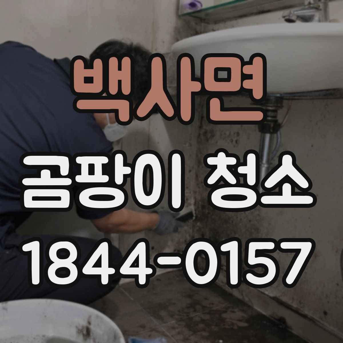 백사면 곰팡이 청소