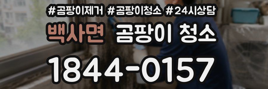 백사면 곰팡이 청소