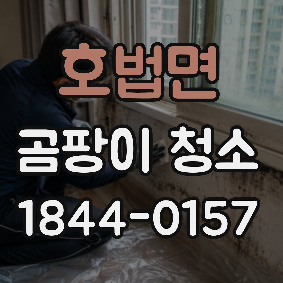 호법면 곰팡이 청소