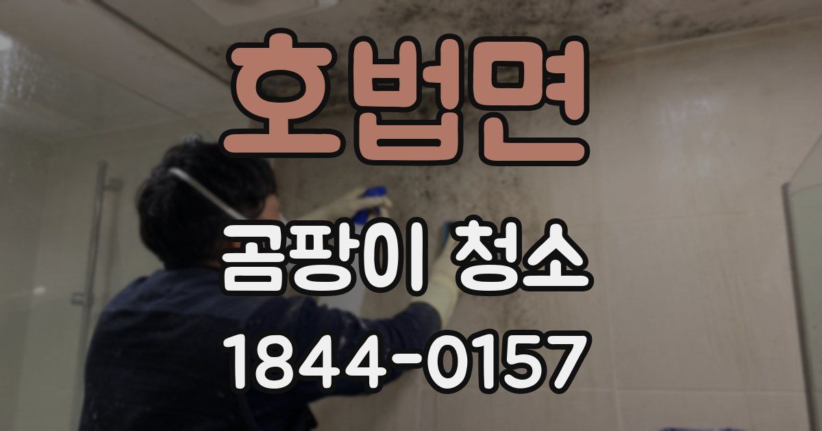 호법면 곰팡이 청소
