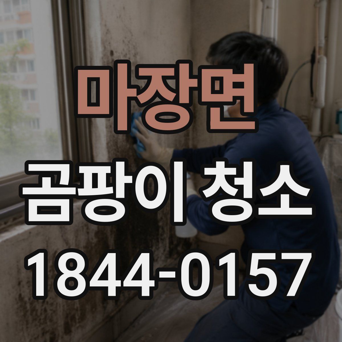 마장면 곰팡이 청소