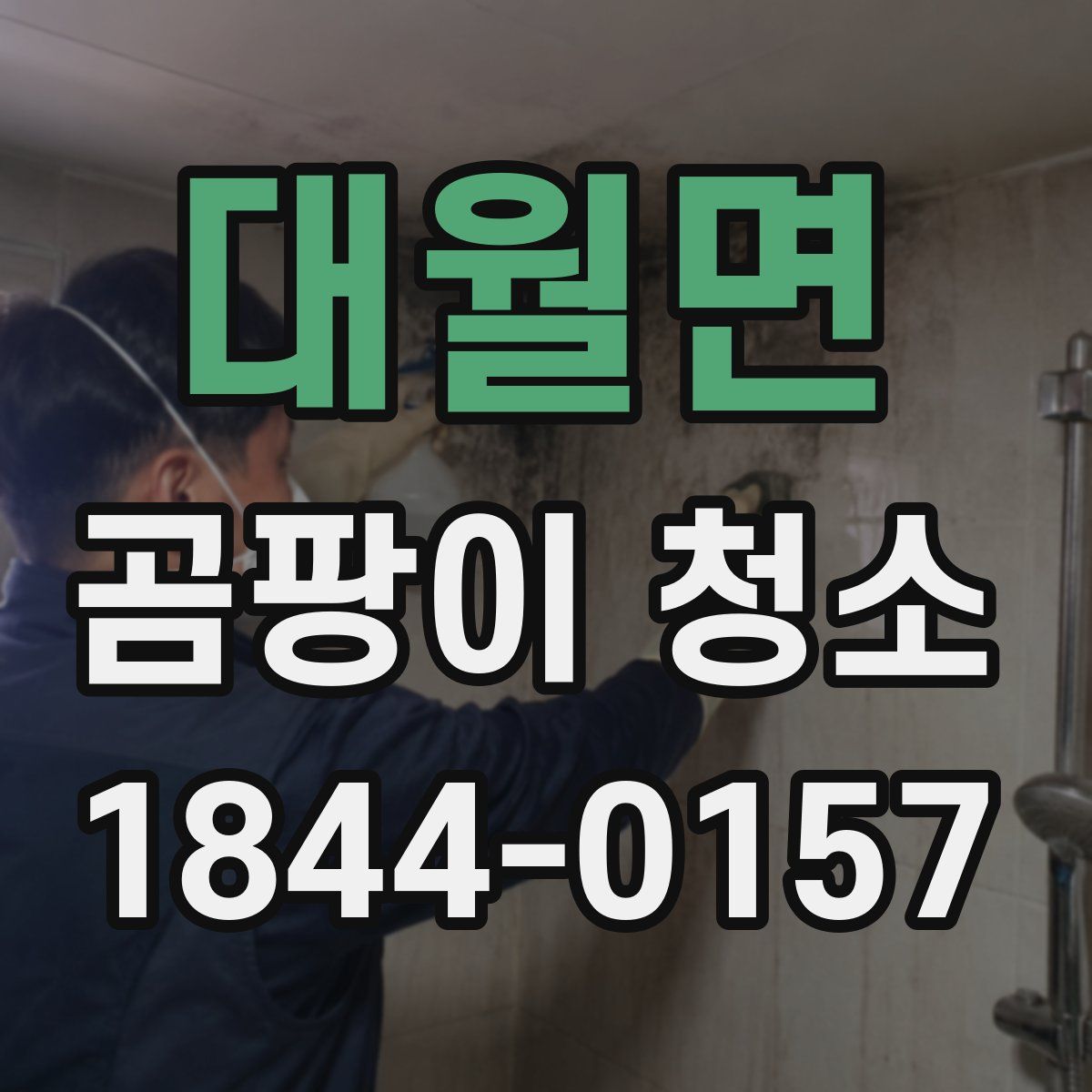 대월면 곰팡이 청소